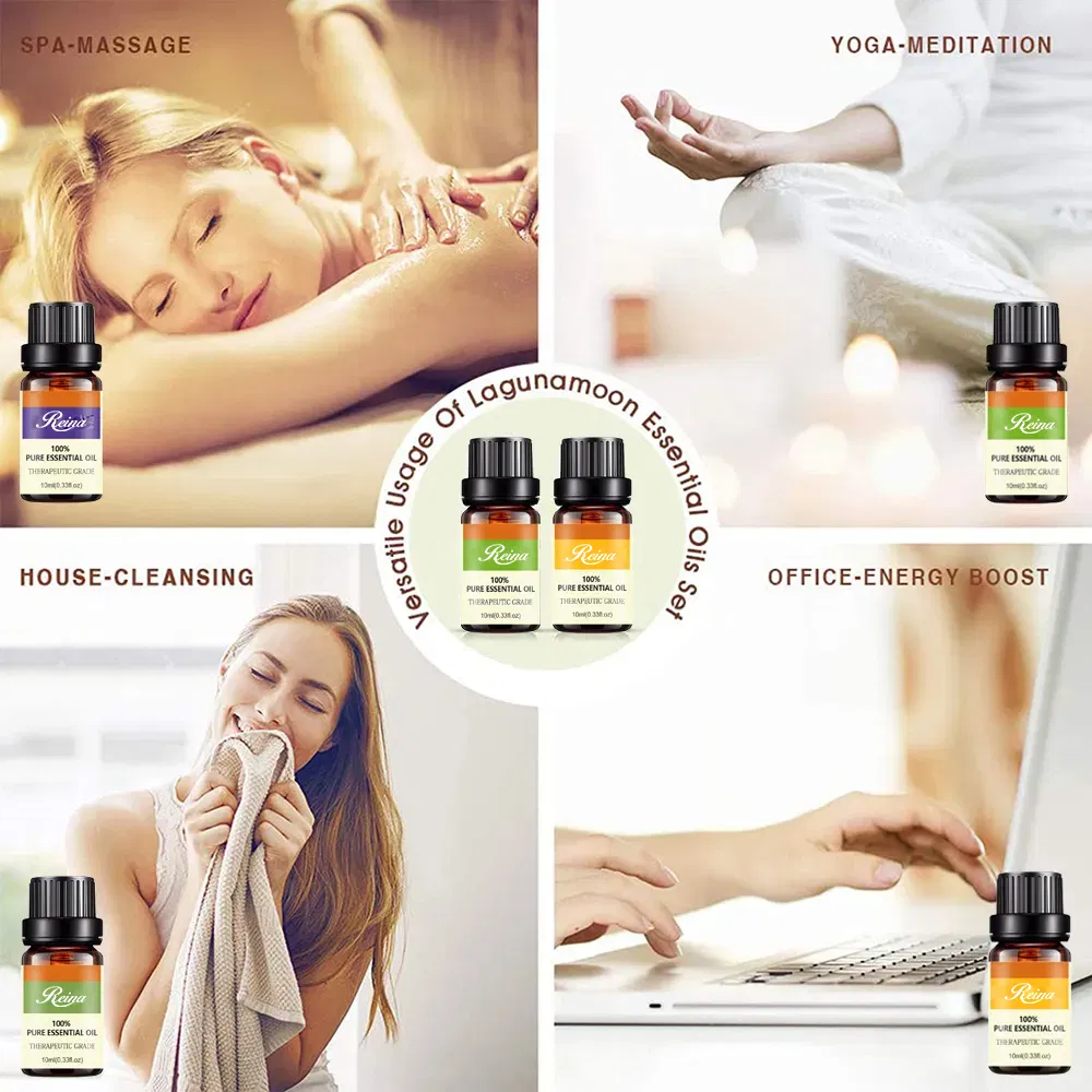 Bottiglia di olio essenziale di massaggio della bottiglia di profumo di vetro del contenitore di imballaggio cosmetico di MOQ basso di vendita calda di fabbricazione della Cina con il tappo contagocce del coperchio di plastica